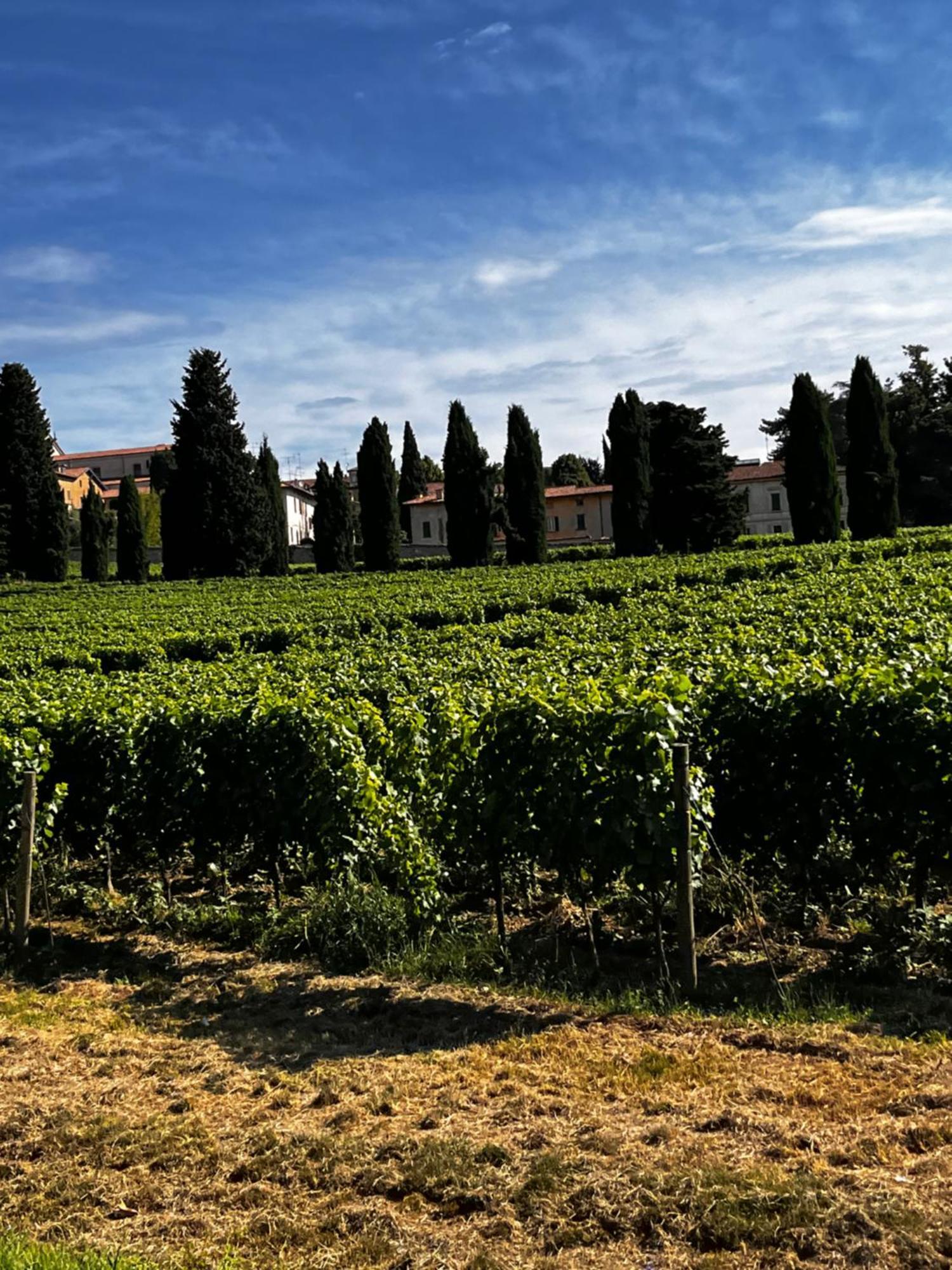 Anna Appartamento Vacanze Monticelli Brusati Exterior foto